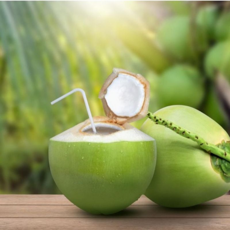 

kelapa muda satu butir