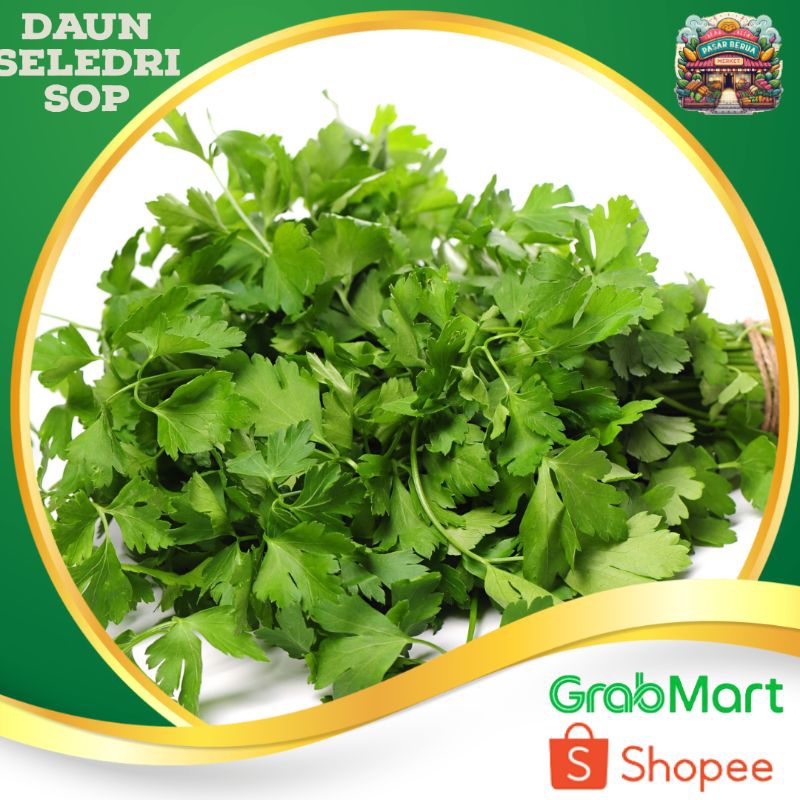 

Daun Seledri / Sop ~ Murah Pasar Induk Daring