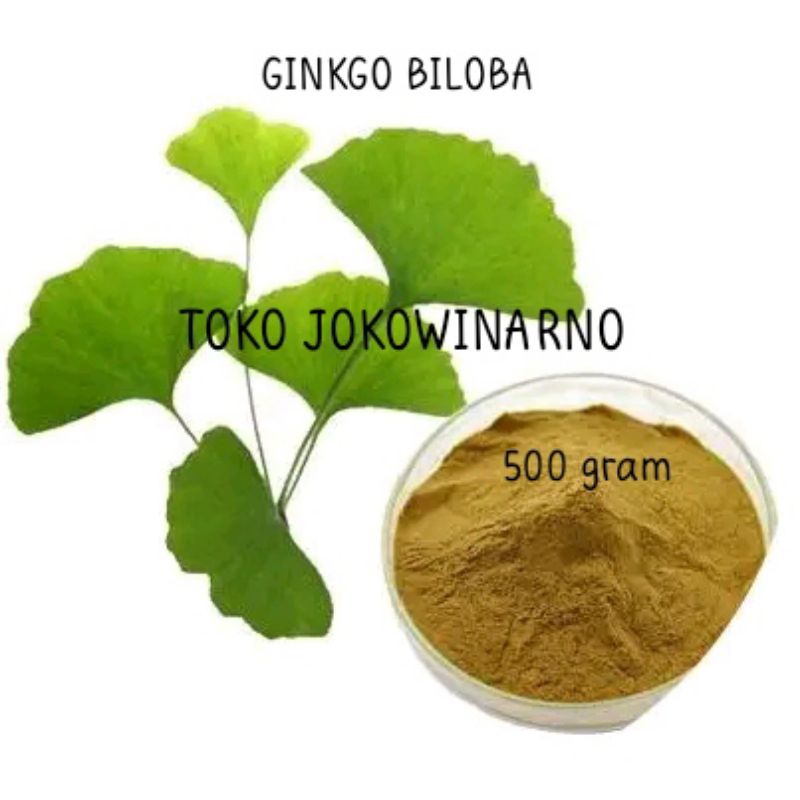 

DAUN GINKGO BILOBA BUBUK - Yin Xing Ye - Kemasan isi 500 Gram