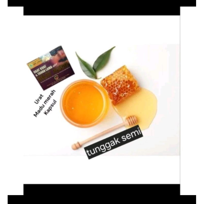 

madu olesan kemasan box merah asli