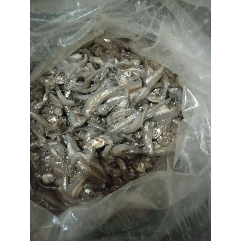 

HALAL | myeolchijeot | 멸치젓 | rusip ikan teri | ikan teri fermentasi | fermented anchovies