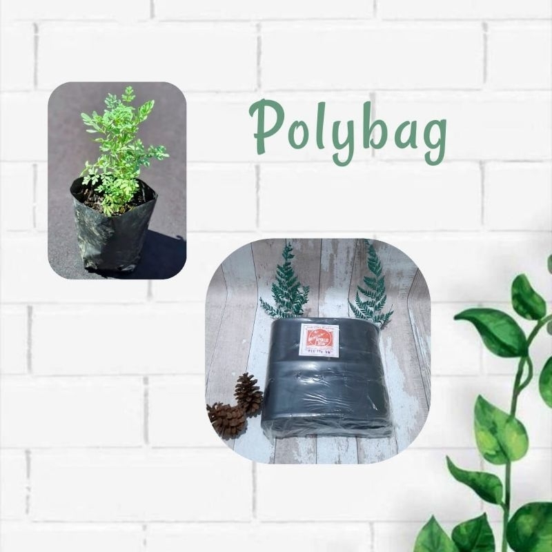 Polybag Kantong Plastik Tanaman Hitam Kiloan