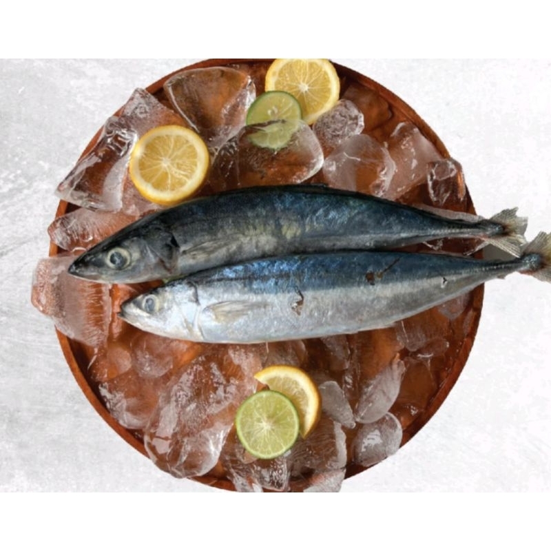 

Ikan kembung layang segar 500gr..