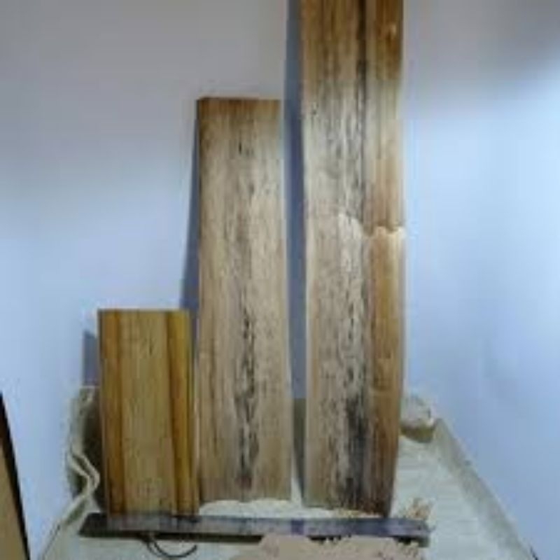 

Pelepah Pisang Kering Siap Pakai – Bahan Alami untuk Kerajinan & Dekorasi