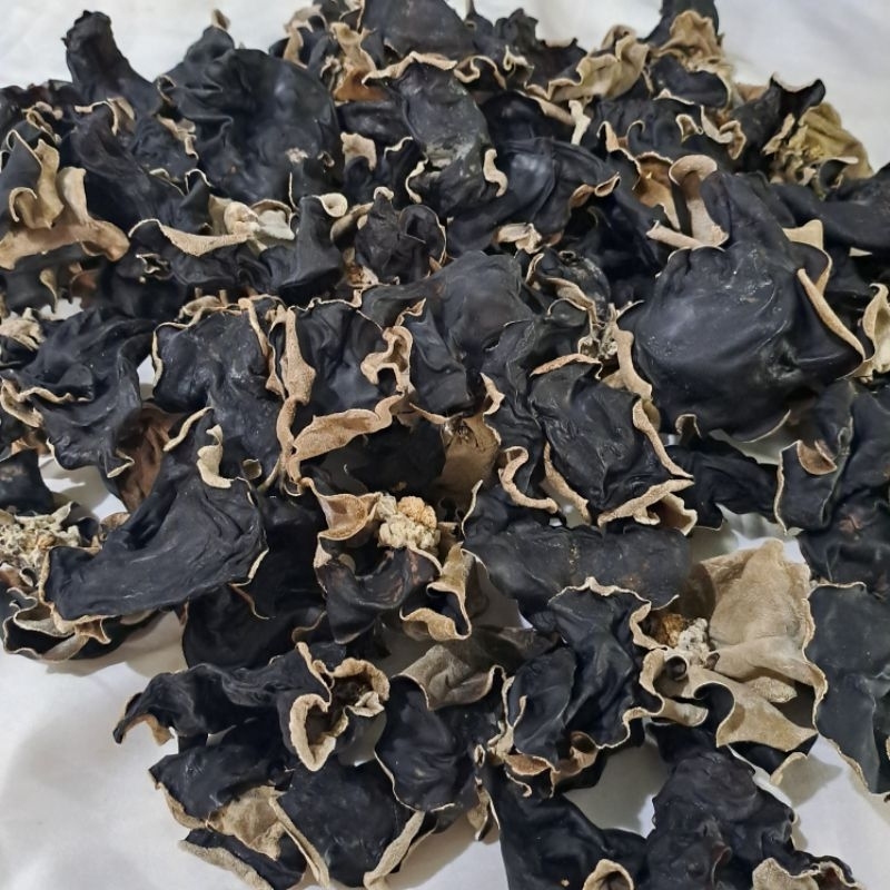 

Jamur Kuping Kering Super Grade A