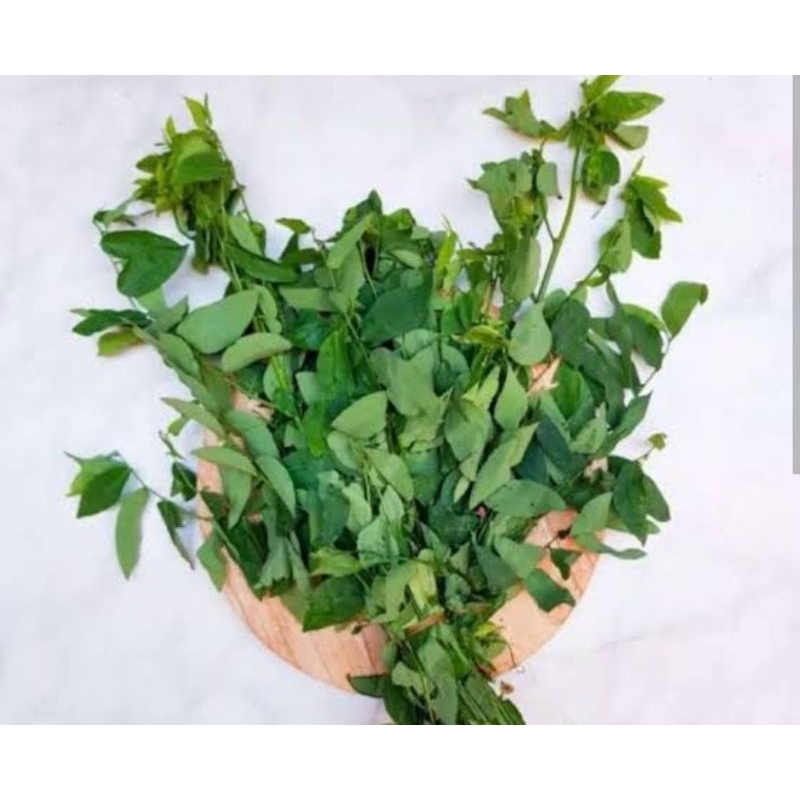 

Daun katuk segar organik petik langsung per 2 ikat-az
