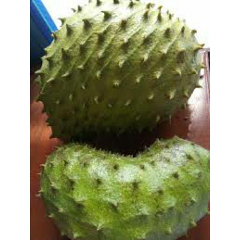 

buah sirsak lokal by lokalfruit