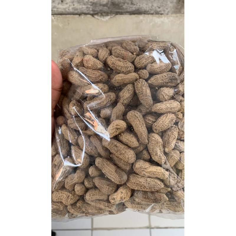 

KACANG KULIT SANGRAI KHAS RANDUDONGKAL PEMALANG 1 KG