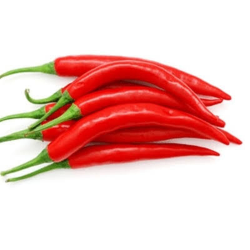 

Cabai Teropong merah, Cabe 200gr