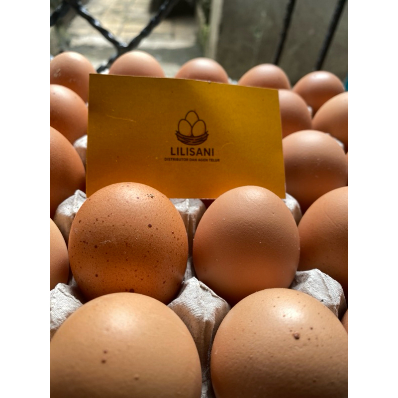 

TELUR AYAM NEGERI COKELAT 3 kilogram