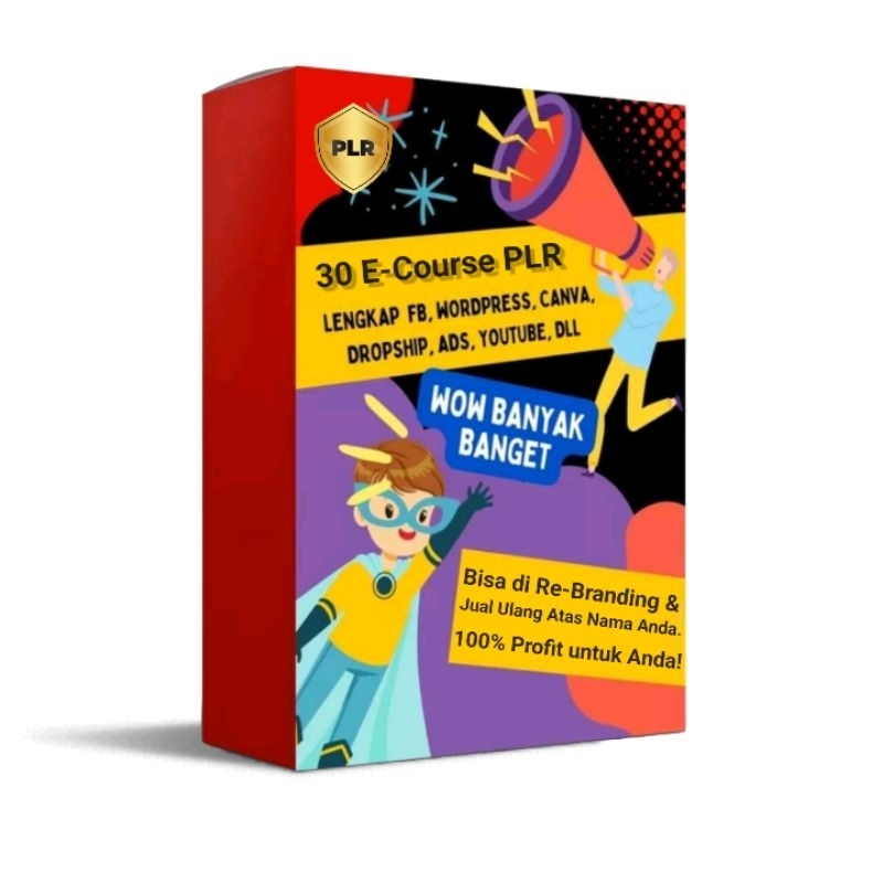 Paket Bundling 30+ Ecourse PLR Bisa di Rebranding & Jual Ulang - Lengkap FB, WP, Canva, Dropship, YT