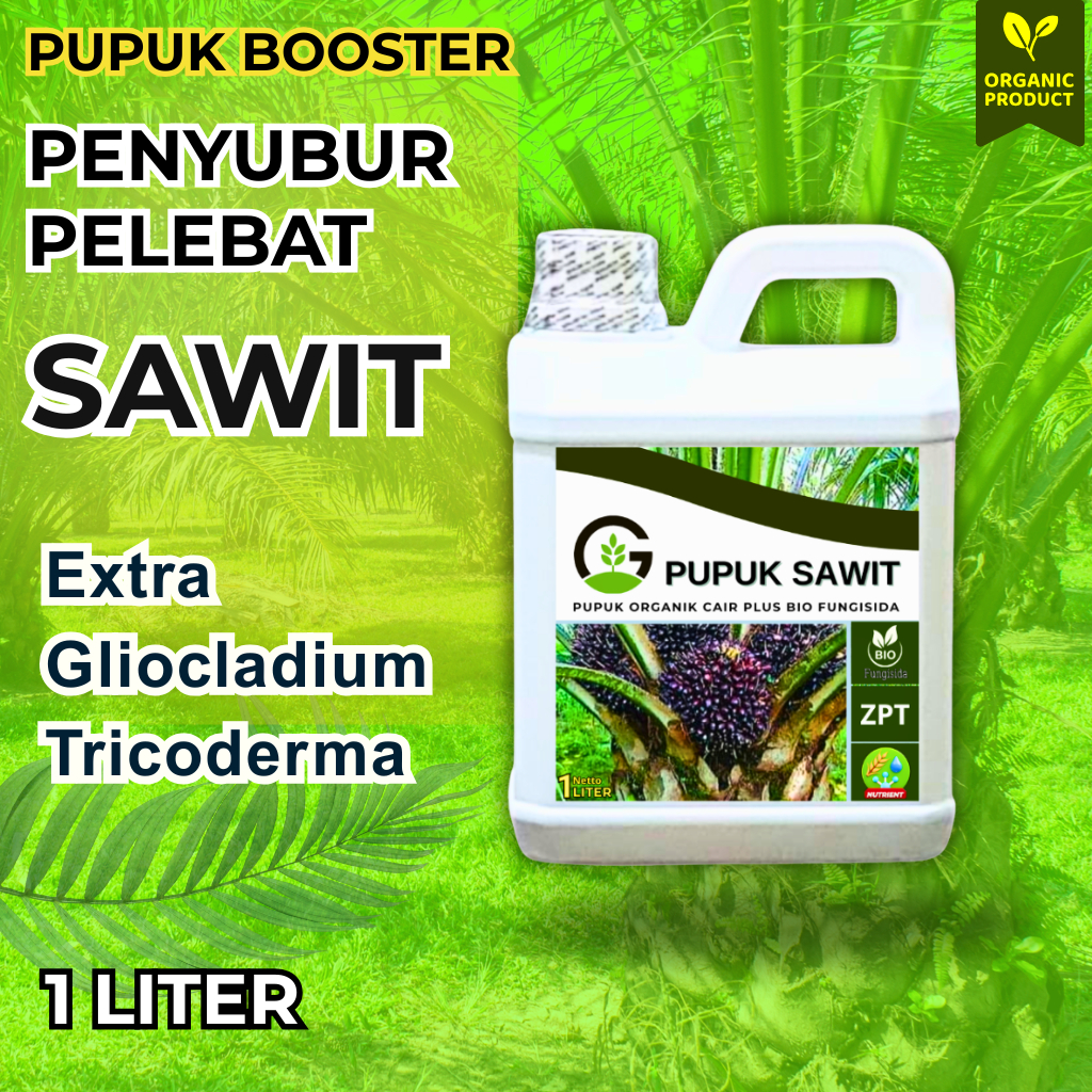 Pupuk Sawit agar Buah Lebat dan Berat Plus Gliocladium Tricoderma Pupuk Pelebat Sawit Cepat Berbuah