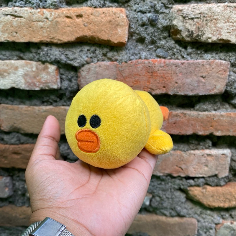 Sally Line Friends