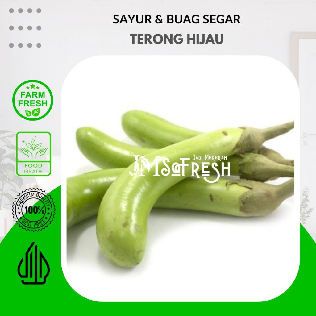 

[JM SoFresh] Terong Hijau 1Kg Segar dan Fresh Organik / Green Eggplant 1Kg