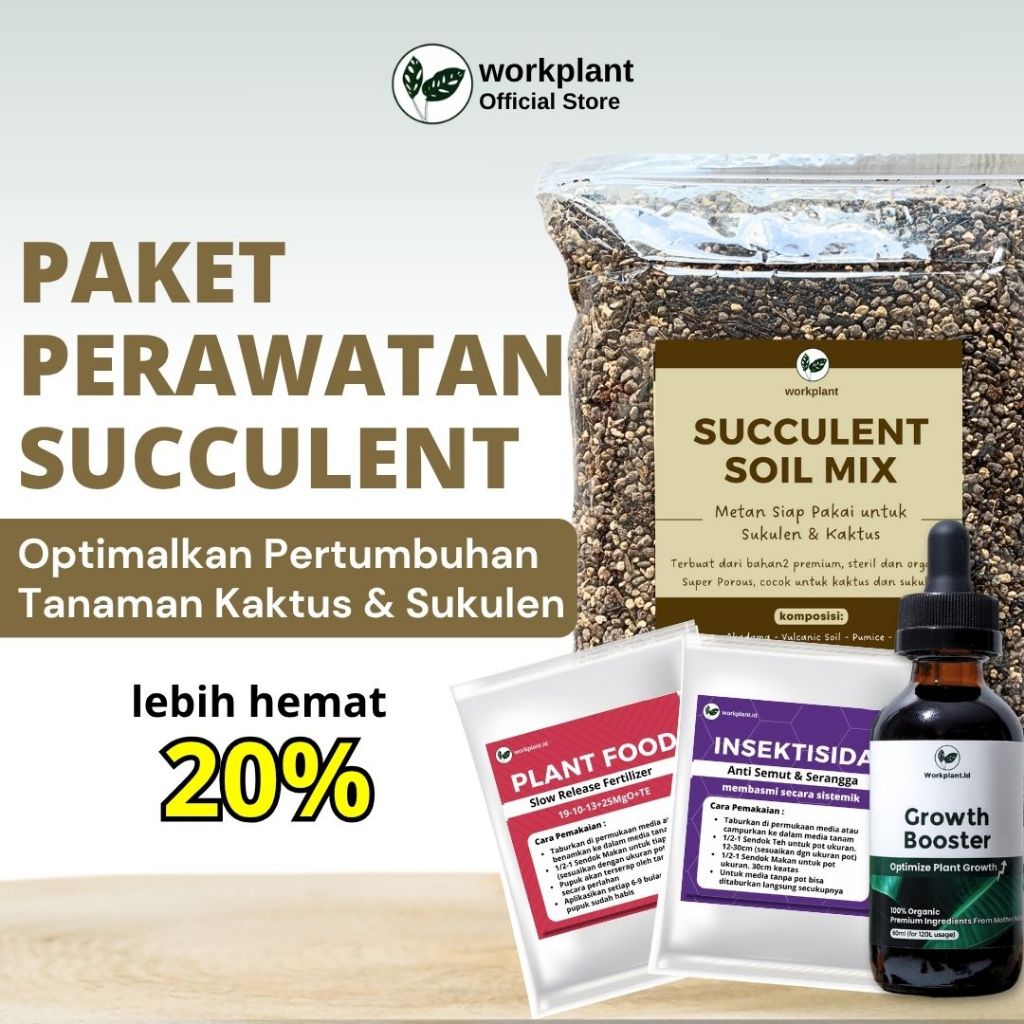 Workplant - Paket Perawatan Succulent Optimalkan Pertumbuhan Tanaman Hias Kaktus Dan Sukulen