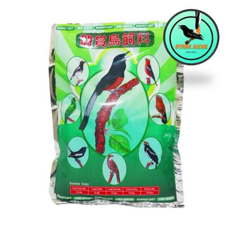 Topsong Hijau Murai Dewasa Pakan Burung