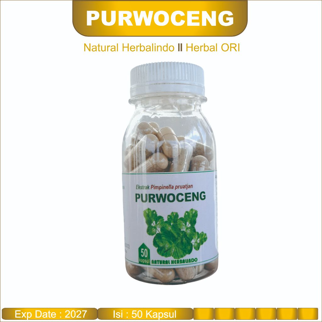 Obat Herbal Stamina Pria Disfungsi Ereksi PURWOCENG KAPSUL