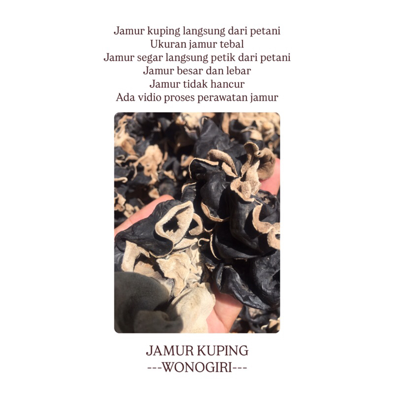 

jamur kuping kering 500gr