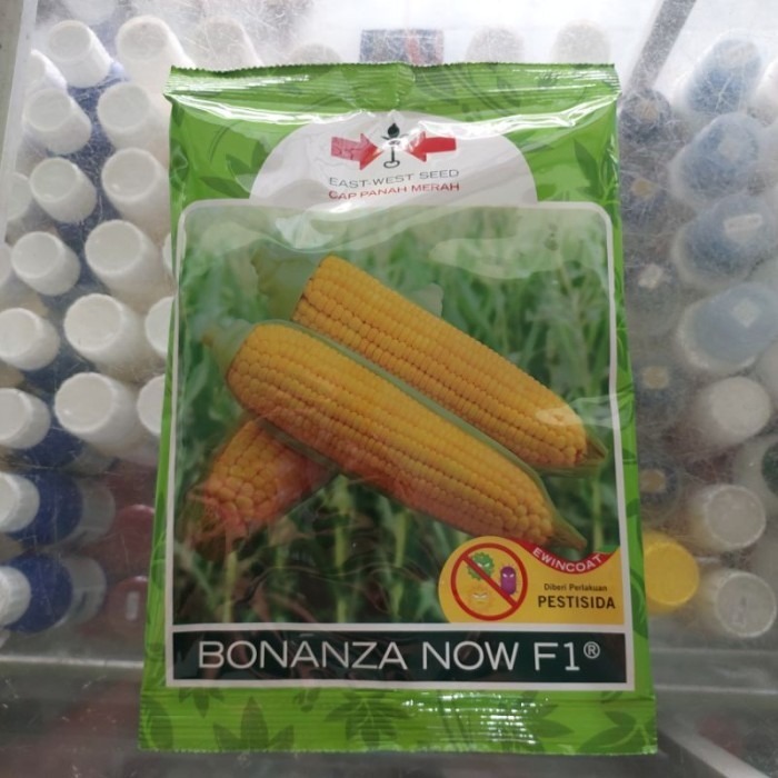 

BENIH JAGUNG MANIS BONANZA F1 ISI 1800 BUTIR ORIGINAL STOKE TERBATAS