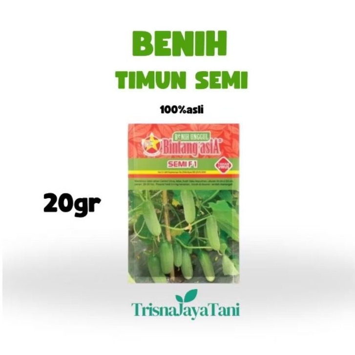 BENIH BIBIT TIMUN SEMI F1 20gram ORIGINAL PABRIK