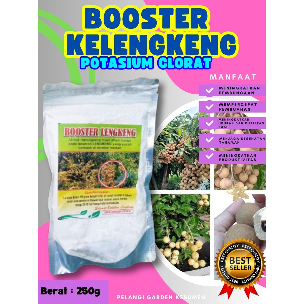 TERBAIK  Pupuk Buah Kelengkeng Potasium
