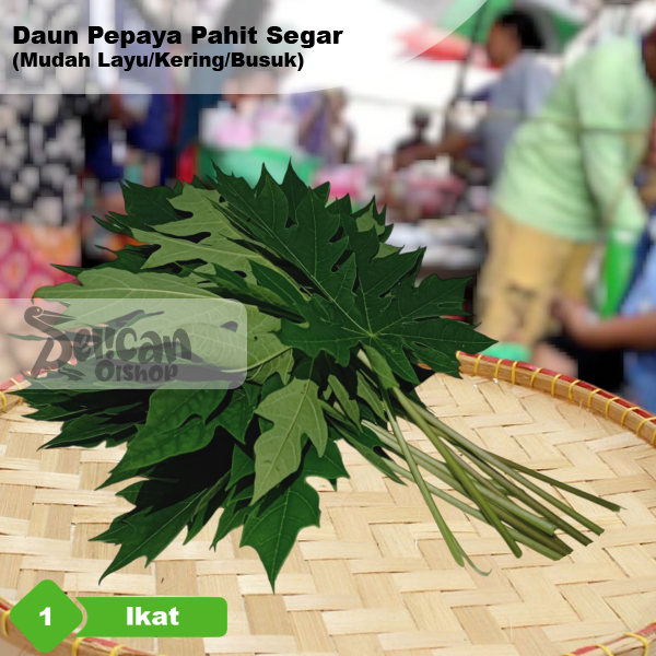

Daun Pepaya Pahit 1 Ikat Untuk Buntil Lalapan Rebus Seupan Obat Herbal ±50 Gram