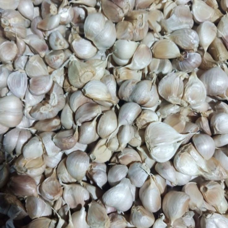

BAWANG PUTIH KATING 125g 250g 500g