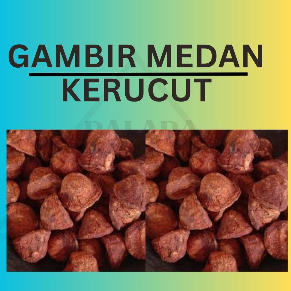 

GAMBIR MEDAN BERBENTUK KERUCUT