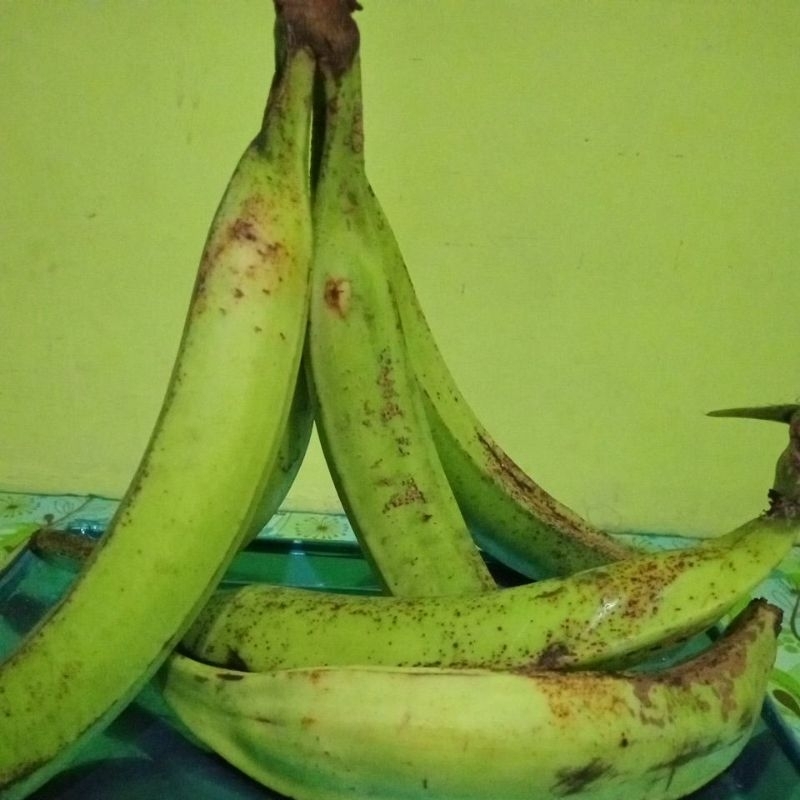 

pisang tanduk lereng gunung Muria rasanya manis pulen