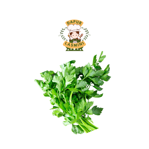 

Daun Seledri Segar 1 ikat