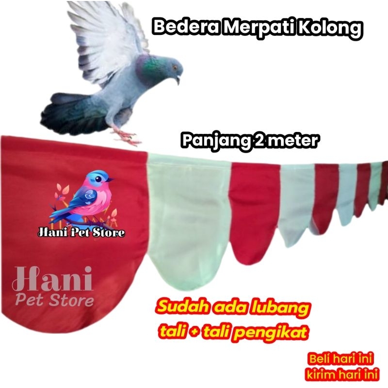 BENDERA LATIH MERPATI KOLONG PANJANG 2 Meter BENDERA KOLONG BENDERA BURUNG MERPATI MAINAN BURUNG