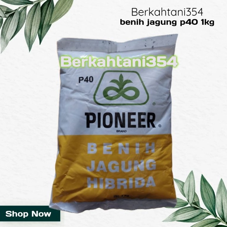 KODE T78B Benih jagung p4 1kg Bibit jagung pioner p 4 original Benih jagung pioneer p4 1kg pioner p3