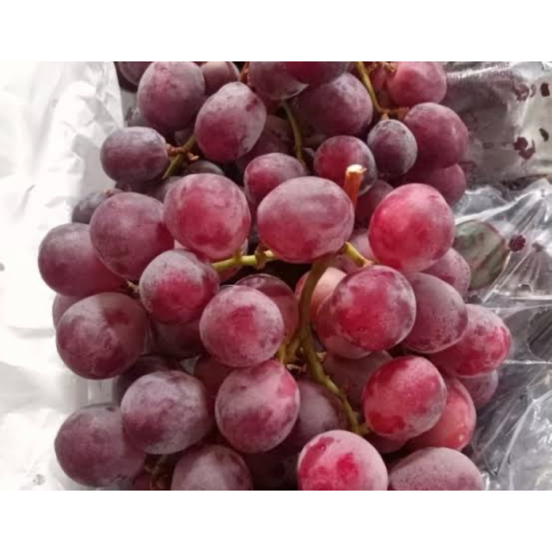 

BUAH ANGGUR PERU MRAH 1 KG