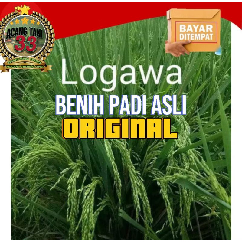 BIBIT PADI LOGAWA ORIGINAL SUPER UNGGUL 1KG.