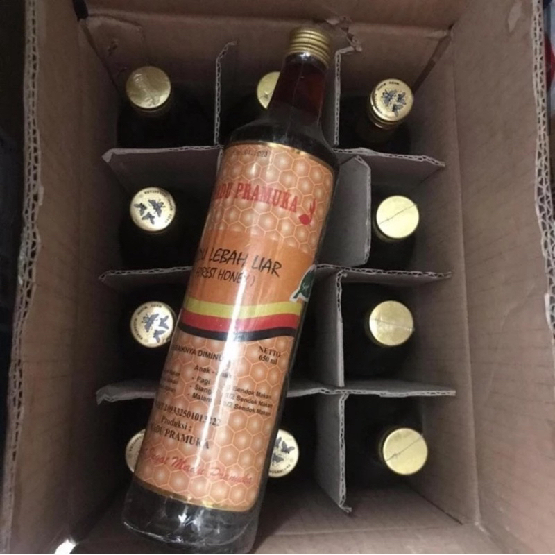 

Madu Pramuka/Madu Lebah Liar/Madu Hutan 650ml