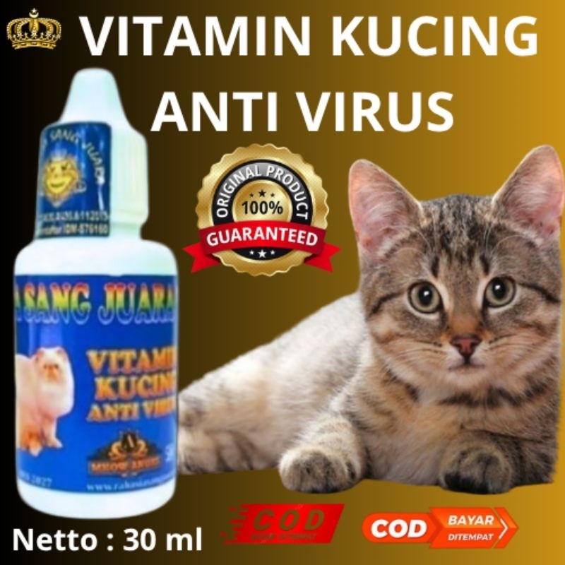 VITAMIN KUCING ANTI VIRUS