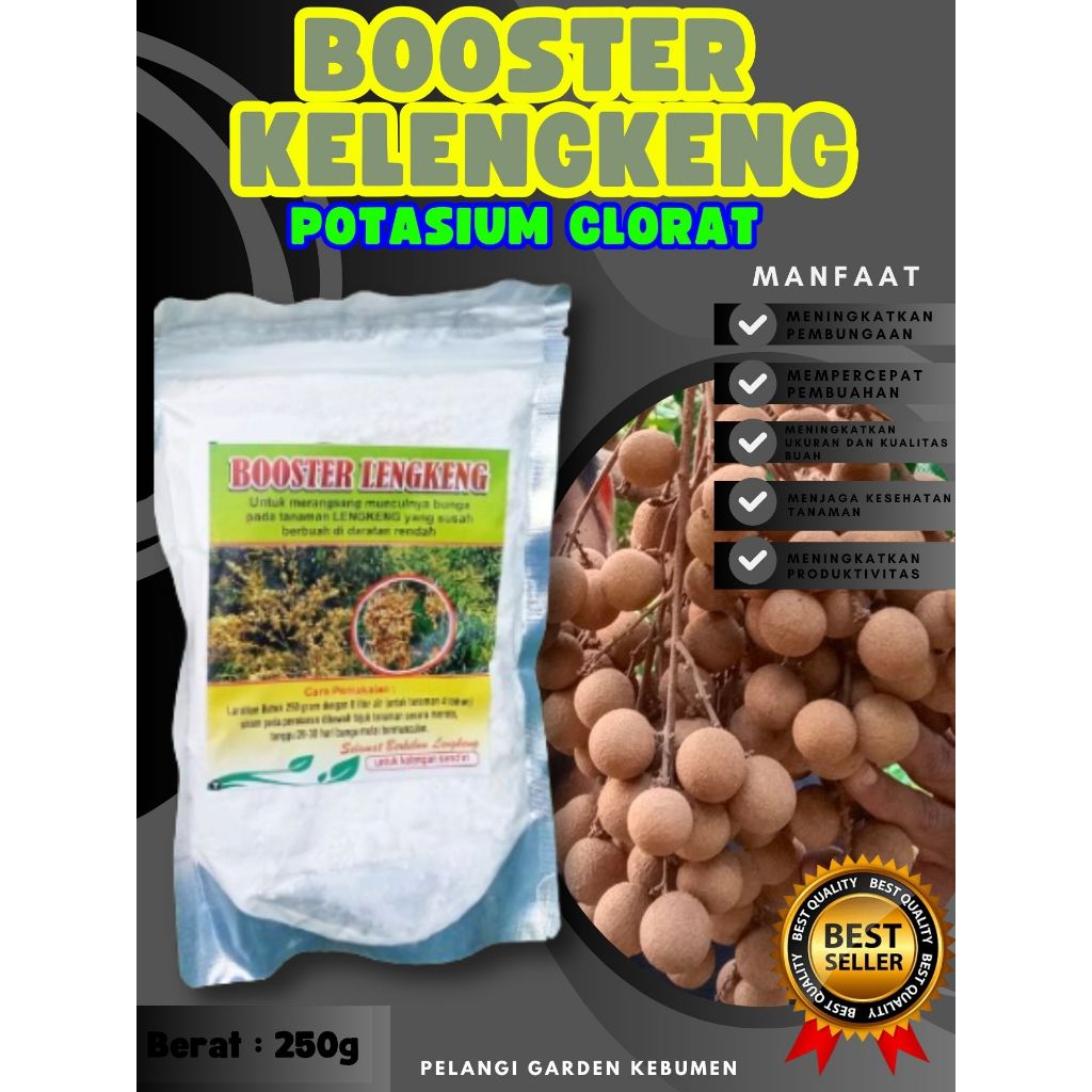 BEST SELLER  Booster Kelengkeng Kclo 3 Murni, Booster Kelengkeng Kclo 3, Booster Kelengkeng Kclo