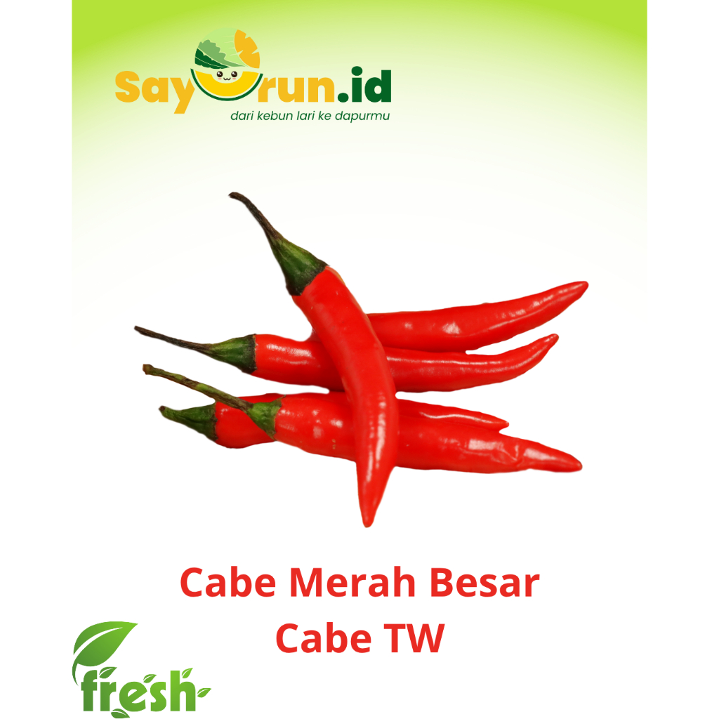 

Cabai Merah Besar Fresh Dari Petani
