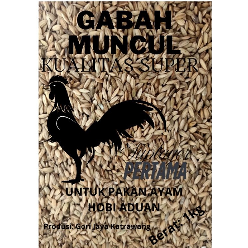 Gabah Muncul ayam 1 kg asli karawang