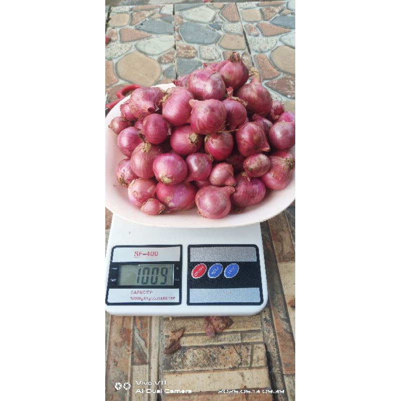 

bawang merah 1kg bumbu dapur ukuran super besar