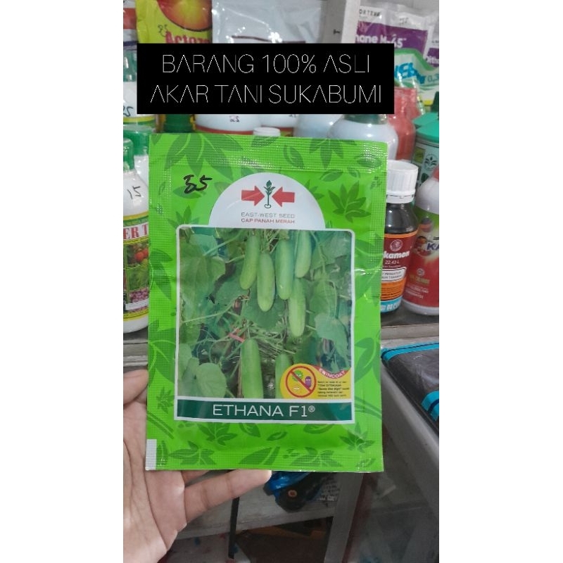 BENIH TIMUN ETHANA CAP PANAH MERAH 800 BUTIR