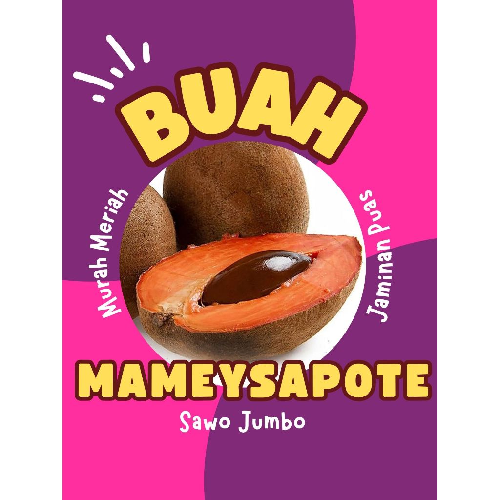 

TERBATAS !! Buah Langka Sawo Jumbo Mamae Sapote