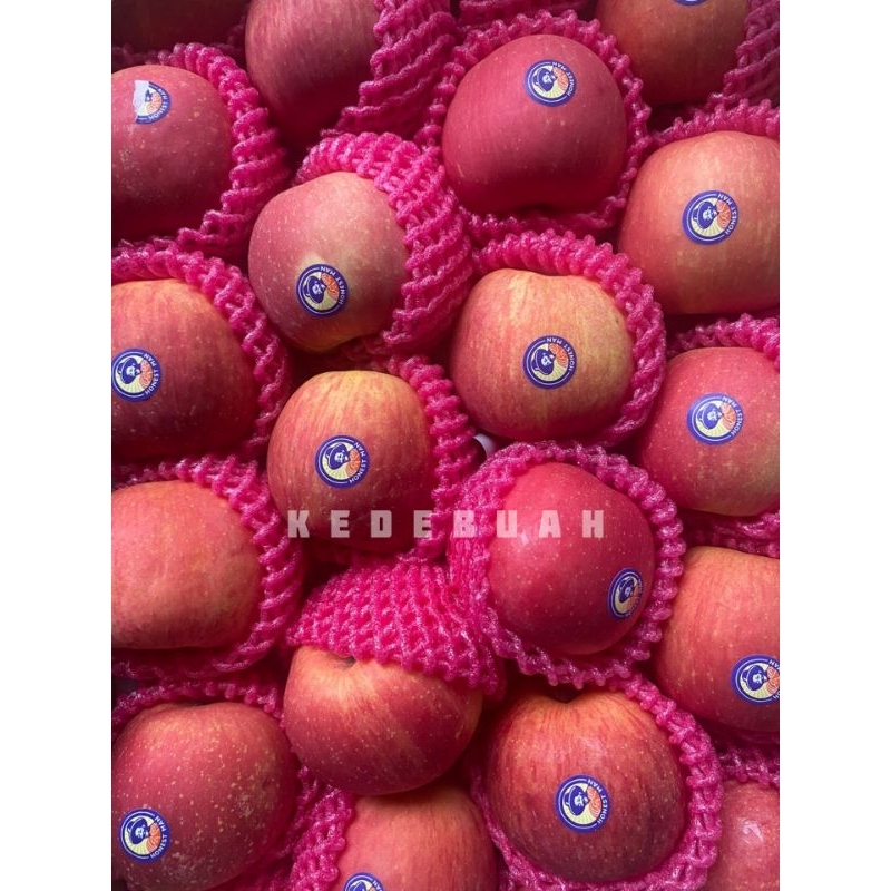 

Apel Fuji Chinese