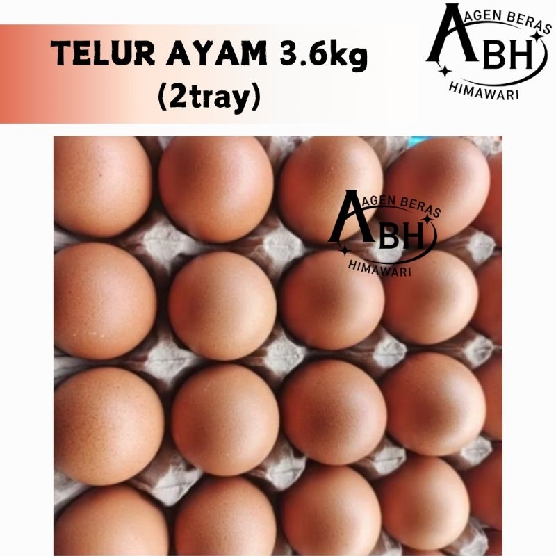 

TELUR AYAM NEGRI