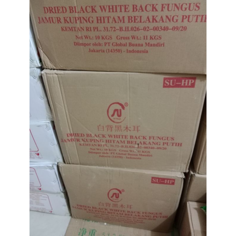 

1 Dus SU - HP JAMUR KUPING HITAM PUTIH ( isi 10 bks @ 1 kg)