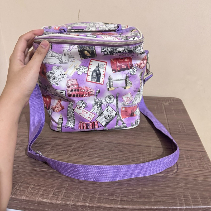 PRELOVED Cooler Pendingin Tas Es Krim Minuman Dingin Aluminium Box Jualan Daging Besar Medium Sedang