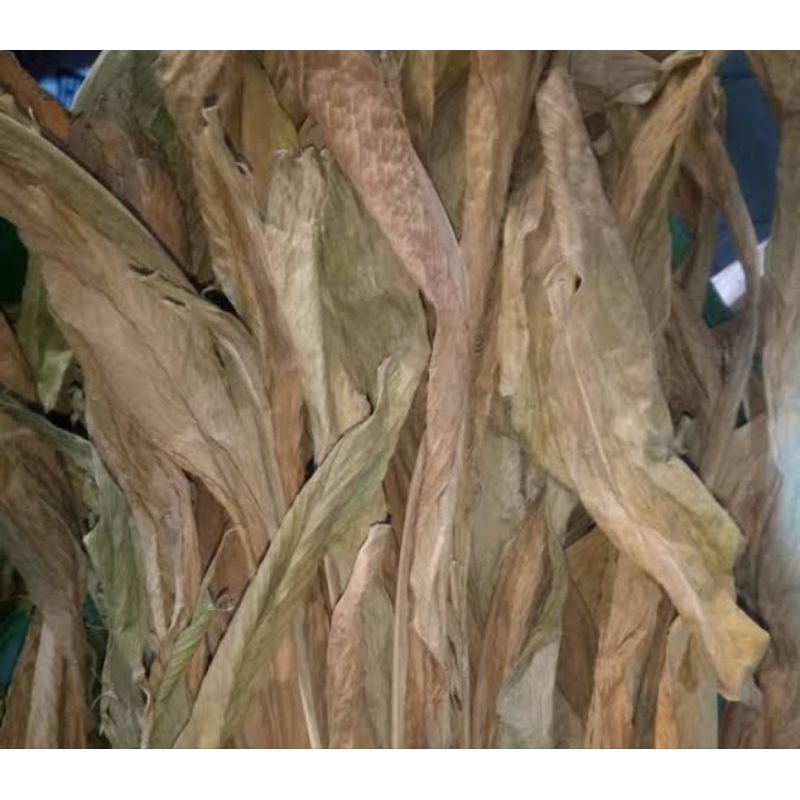 

daun kunyit kering 100 gram