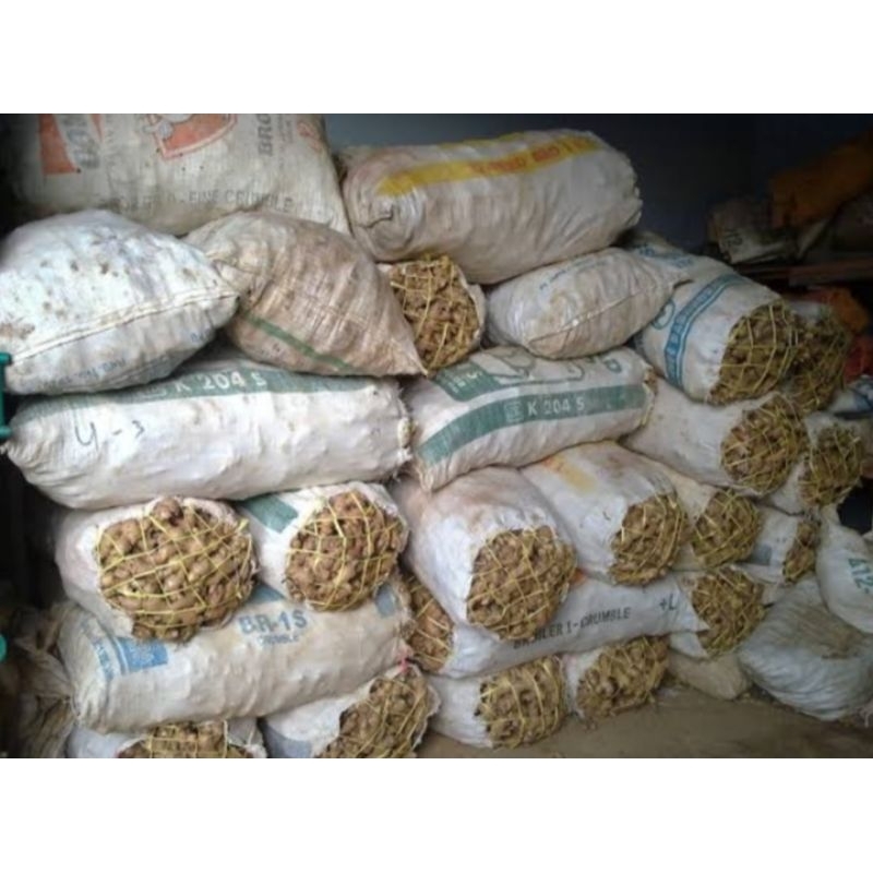 

jahe gajah fresh langsung dari pasar grosiran