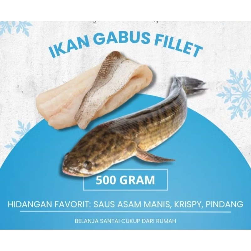 

IKAN GABUS FILLET