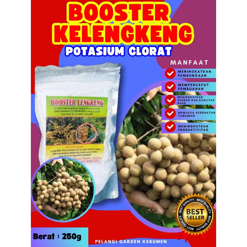 TERBAIK ! Boster Kelengkeng Aroma Durian, Boster Kelengkeng Bubuk, Boster Kelengkeng Berbuah